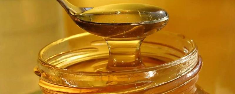 便宜的蜂蜜是假的吗，糖浆蜜为什么便宜