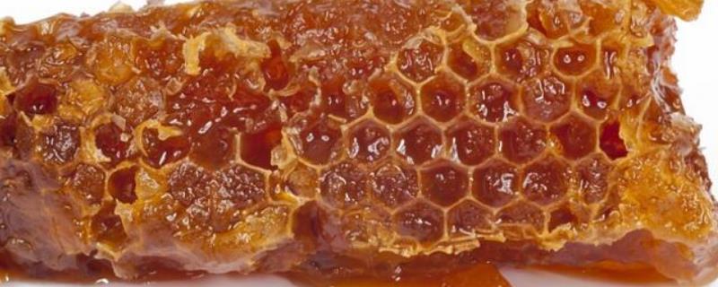 蜂胶在家里怎么提炼，附提炼方法 蜂胶是什么提炼出来的