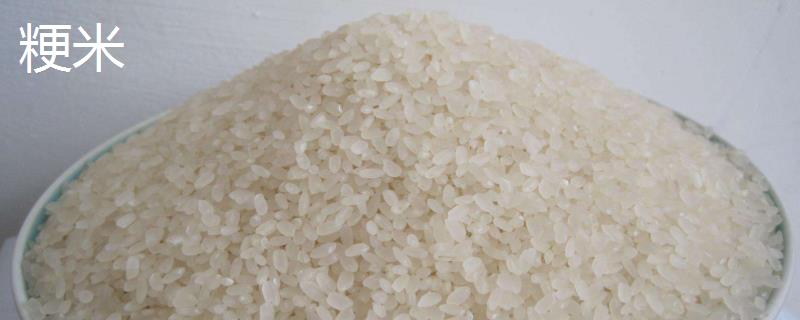 粳米和大米的区别，大米的分类（粳米和大米的区别,大米的分类图片）