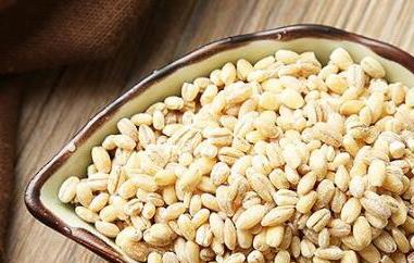 大麦米的功效与作用 大麦米的功效与作用禁忌及食用方法