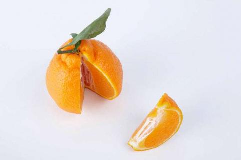 特早熟柑桔有哪些新品种 早熟柑橘品种最好品种