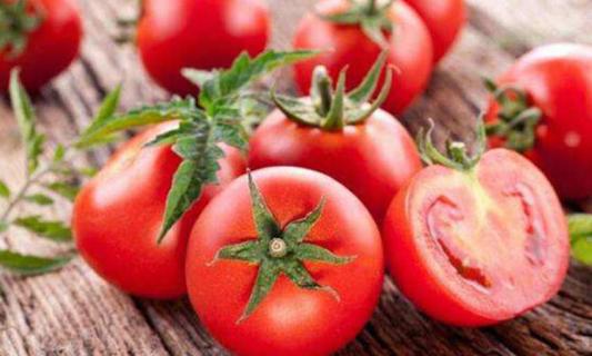 西红柿管理方法是什么 西红柿的管理方式