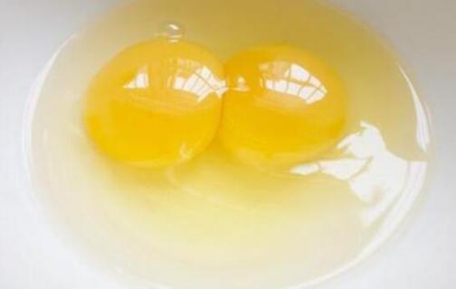 双黄蛋可以孵出两个小鸡吗 双黄蛋可以孵出两个小鸡吗图片