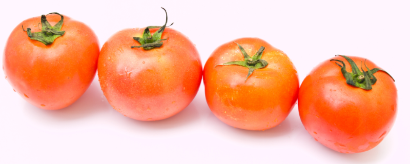 吃西红柿能减肥吗 经常吃西红柿能减肥吗