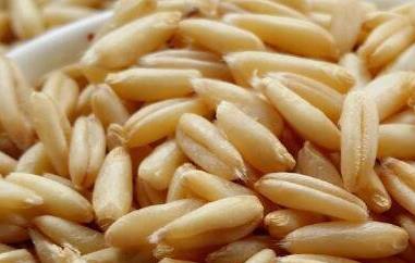 莜麦粒是什么 莜面是莜麦吗