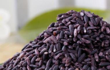 墨江紫米怎么吃 墨江紫米可以天天吃吗
