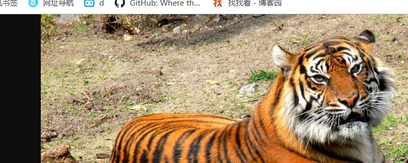 老虎喜欢吃什么食物，老虎是如何繁殖的，老虎有哪些品种