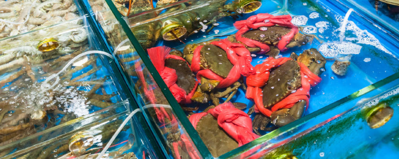 海蟹死了可以吃吗，附生态习性 海蟹死后能吃吗