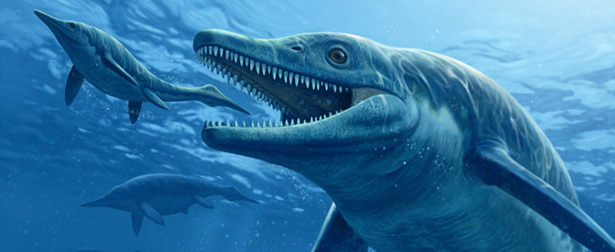 为什么鱼龙不是恐龙 为什么鱼龙不是恐龙的祖先