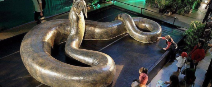 科考最大的蛇究竟有多大（什么蛇是最大的蛇）