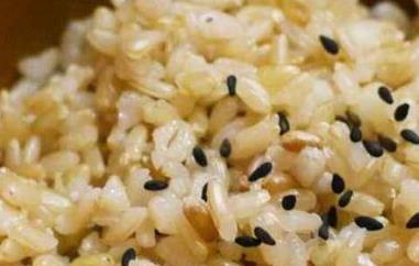 糙米饭怎么做（糙米饭怎么做的）