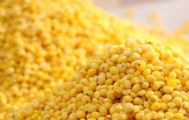 大黄米的功效与作用 小黄米和大黄米的功效与作用