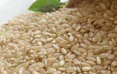 糙米的功效与作用及食用方法 糙米的功效与作用及食用方法禁忌