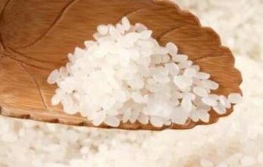 粳米是什么米 粳米是什么米和普通大米一样好吃