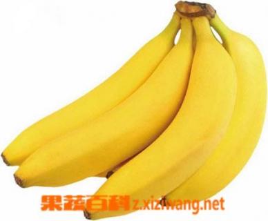 香蕉的七种功效（香蕉的七种功效作用）