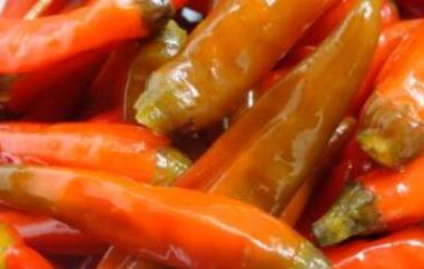 辣椒泡菜的腌制方法和配料 辣椒泡菜的腌制方法和配料窍门
