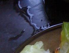 圆白菜香菇肉卷 圆白菜香菇肉卷怎么做