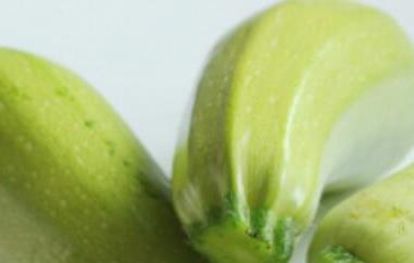 菜瓜和西葫芦怎么区分 菜瓜和西葫芦怎么区分的