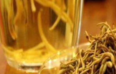 金银花茶的功效与作用及副作用 菊花决明子金银花茶的功效与作用及副作用