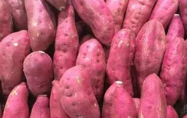 番薯的功效与作用 紫薯的功效与作用及营养价值