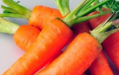 生吃胡萝卜的功效和作用 生吃胡萝卜的功效和作用天天吃