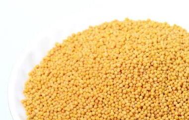 黄芥末籽的功效与作用 芥末籽的功效和作用