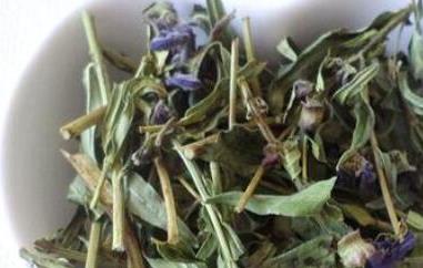 黄芩叶茶的制作方法 黄芩叶茶的制作方法视频
