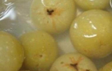 蜂蜜橄榄的腌制方法（蜂蜜腌橄榄的做法）