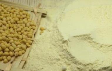 绿豆粉怎么做 绿豆粉怎么做好吃