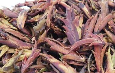 紫芽茶的口感特点 紫芽茶的口感特点是什么