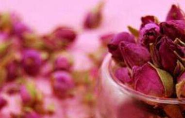 月季花茶的功效与作用 玫瑰月季花茶的功效与作用