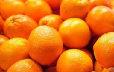 橘子和桔子的区别（橘子和桔子的区别读音）