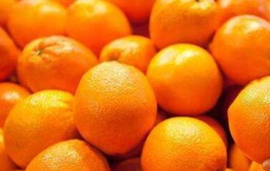 橘子和桔子有什么区别（橘子和桔子有什么区别呢?）