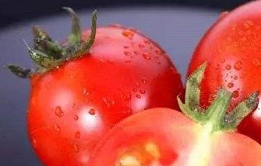 西红柿籽的功效与作用 西红柿子的营养价值及功效与作用