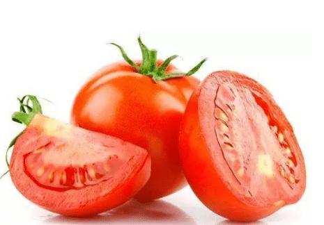 番茄春季育苗苗床管理的技术，番茄好养吗，怎么养殖比较好