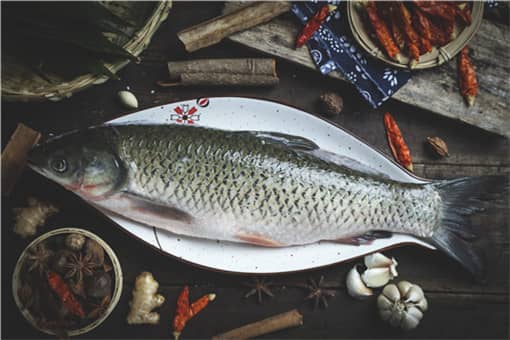 2021年养殖什么鱼最赚钱