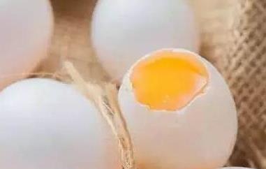 鸽子蛋的功效与作用 每天两个鸽子蛋的功效与作用