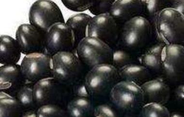 青皮黑豆的功效与作用 黑青豆的作用和功效