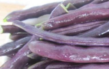 熟的紫芸豆怎么吃（熟的紫芸豆怎么吃好吃）