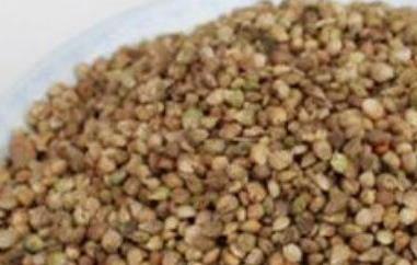 菠菜籽粉的功效与作用 菠菜籽粉的功效与作用及禁忌