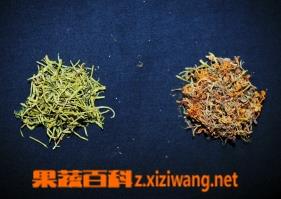 金银花与山银花的鉴别 金银花与山银花的鉴别方法