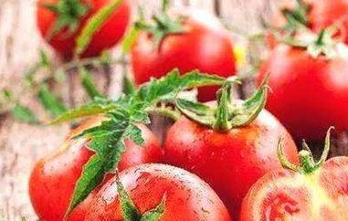 番茄红素的功效与作用 新疆番茄红素的功效与作用