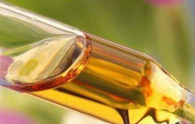 山茶花油的功效和作用 山茶花油的功效和作用护肤