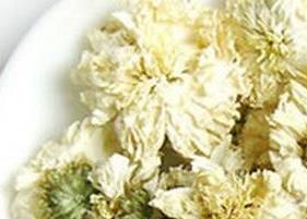 白菊花茶的功效与作用及副作用 白菊花茶的作用和功效