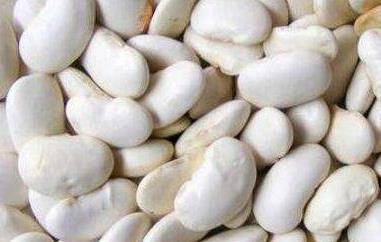 白芸豆的功效与作用 白芸豆的功效与作用点