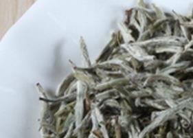 白茶的药用功效 白茶的药用功效是什么