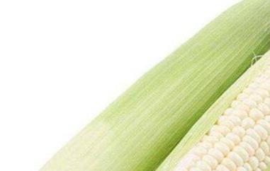 白糯玉米的功效与作用 白糯玉米的功效与作用及营养价值