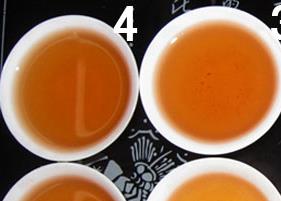 大红袍茶的知识介绍 大红袍茶的知识介绍怎么写