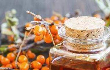 沙棘籽油的用途和用法 沙棘籽油的用途和用法与用量