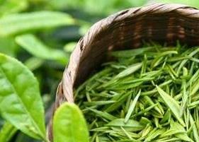 绿茶的副作用有哪些 绿茶的副作用有哪些呢